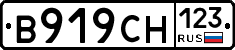 В919СН123 - 