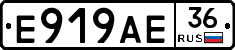 Е919АЕ36 - 