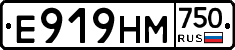 Е919НМ750 - 