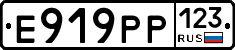 Е919РР123 - 