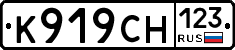 К919СН123 - 