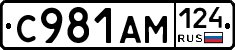 С981АМ124 - 